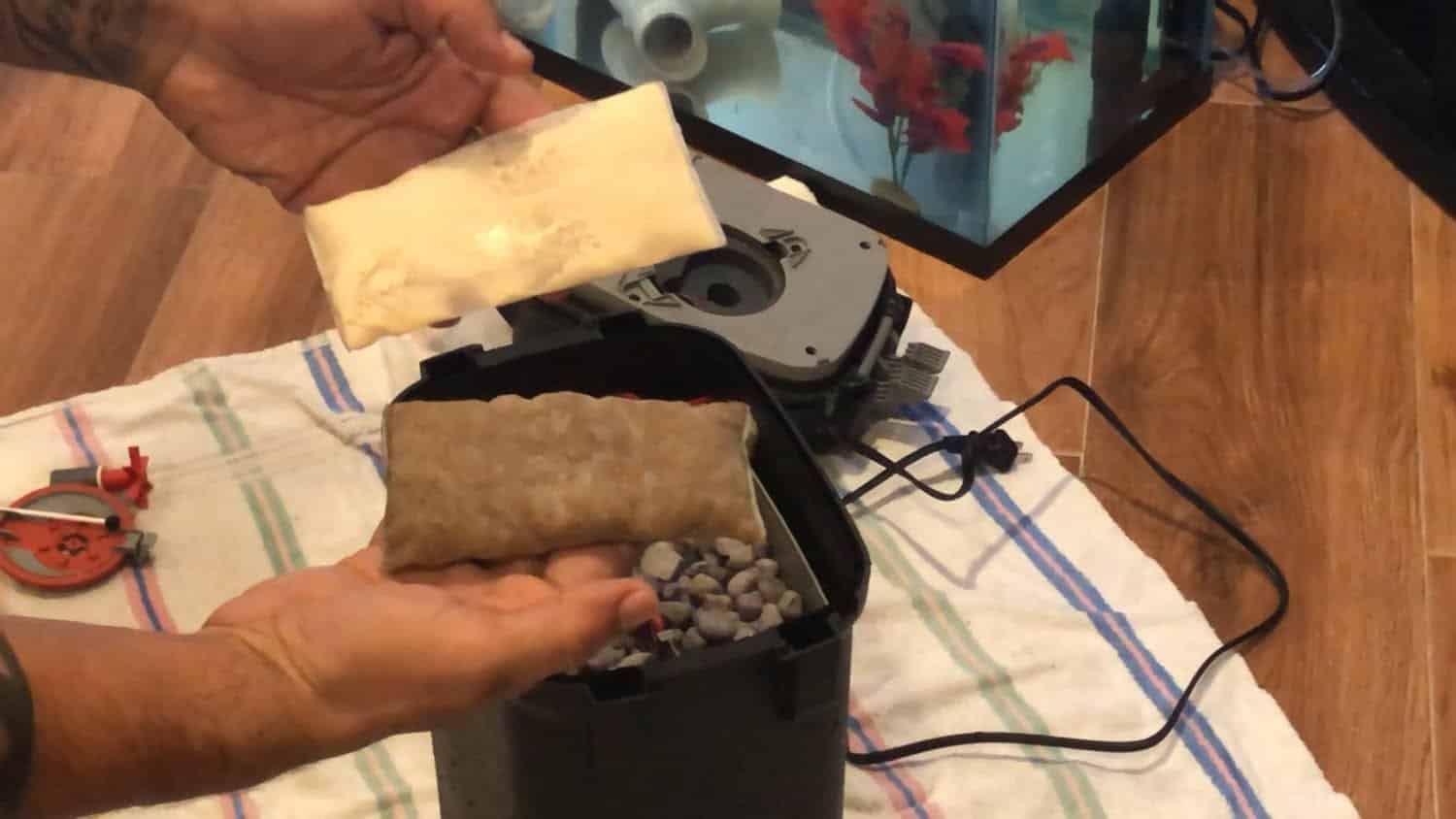 How to Clean Fluval 407 Filter KaveMan Aquatics