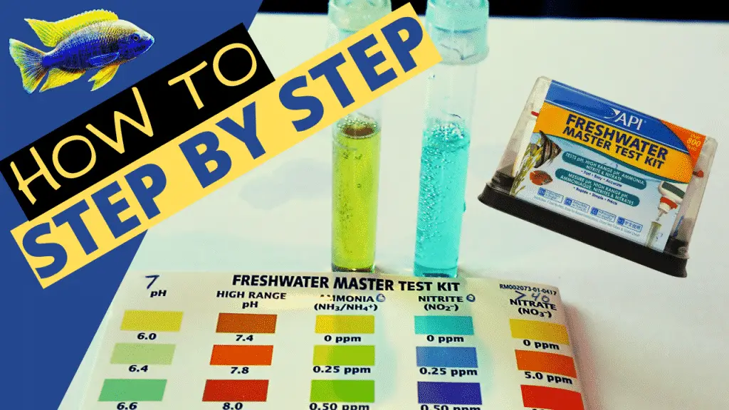 Fish Tank Ammonia