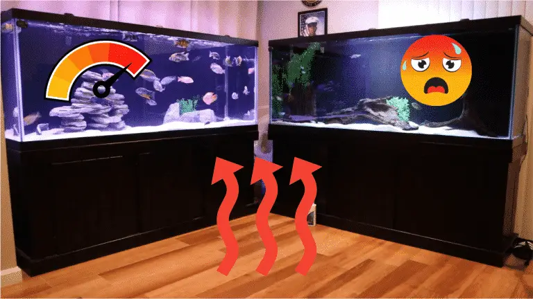 Aquarium Temperature In Summer – Cool Your Tank Quickly And Safely!