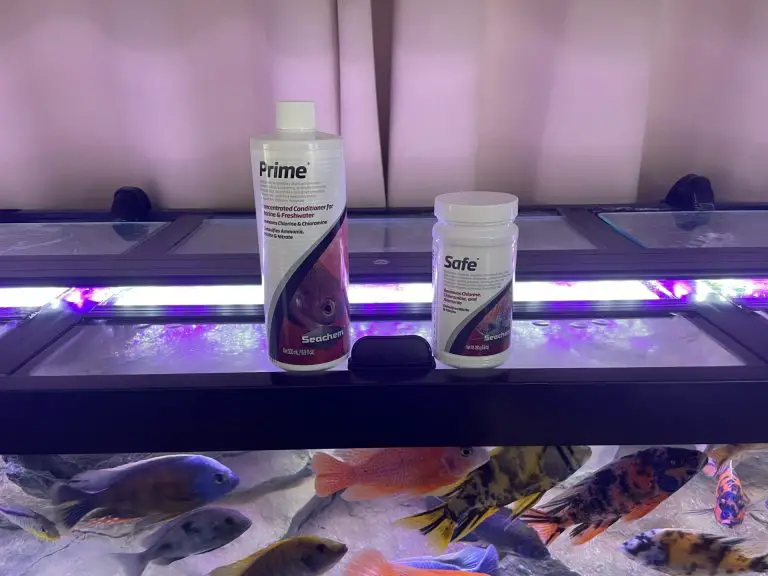 When To Add Dechlorinator During Water Change? (Safely)