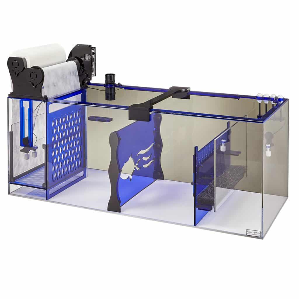 Canister Filter Or Sump The Breakdown KaveMan Aquatics