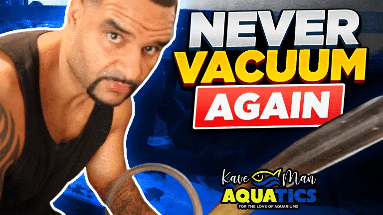 Still Vacuuming? – Never Aquarium Substrate Vacuum Again! (Easy)