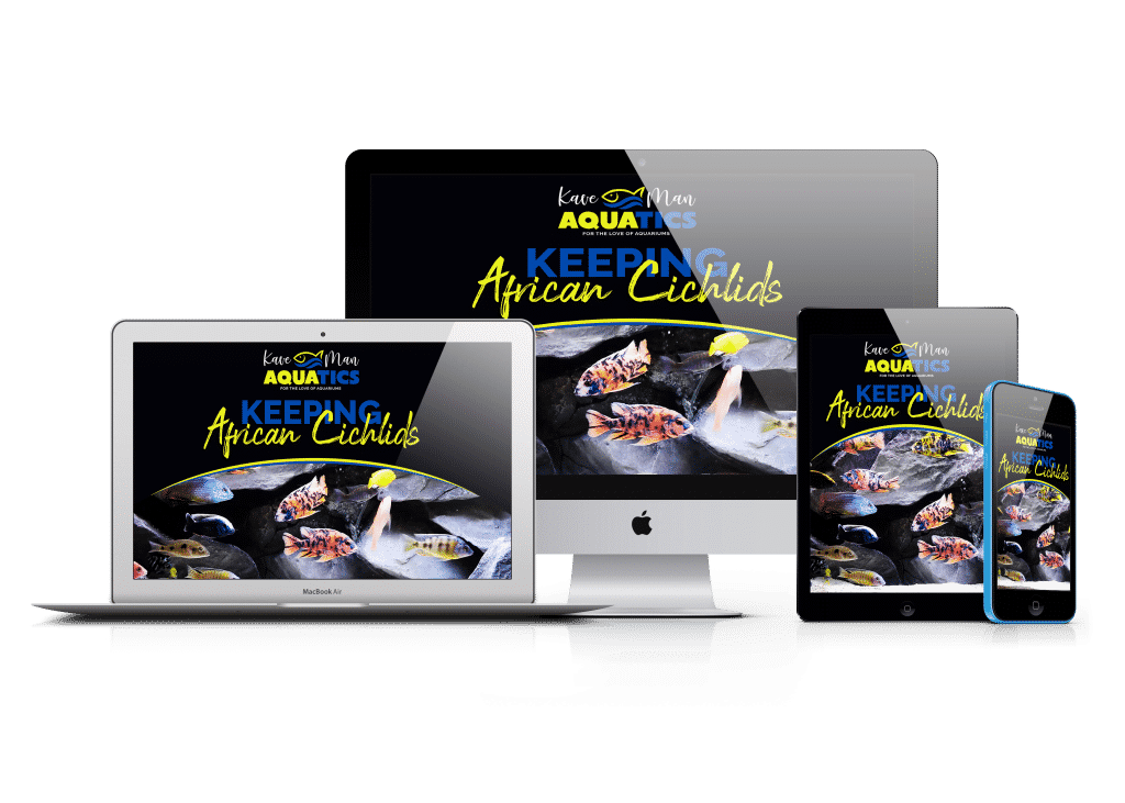 MOCKUP PNG 2 1024x731 1.png