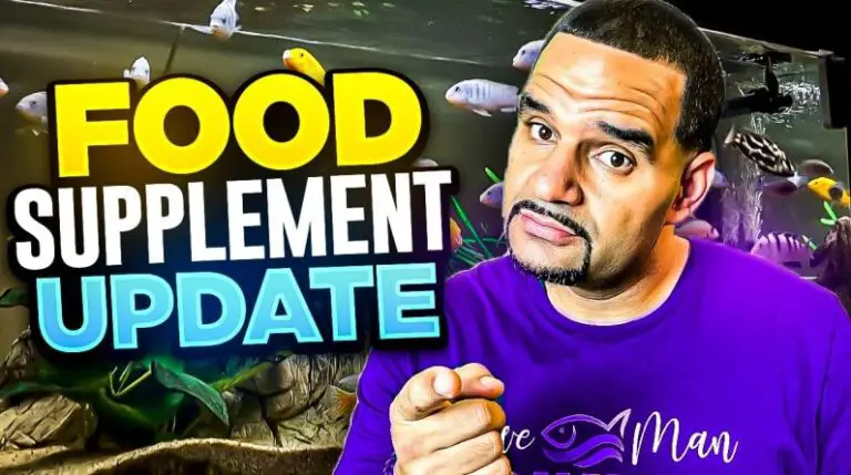 4 Updated Fish Food Supplements (Enhance Health and Color)