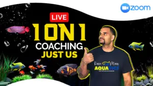 KaveMan Aquatics 1-on-1 Coaching