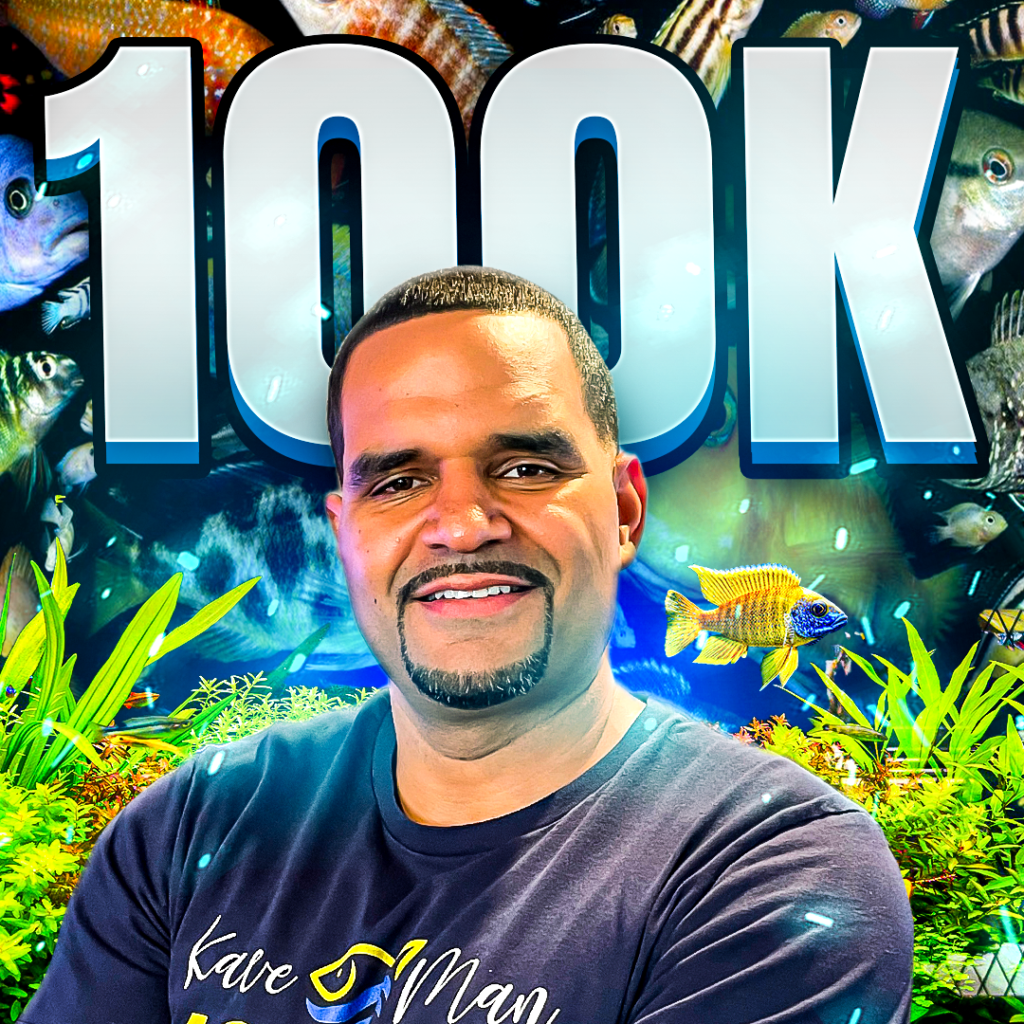 100K Subscribers KaveMan Aquatics