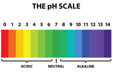 The pH Scale from red to purple showing the scales of acidity, alkalinity, and neutral. 