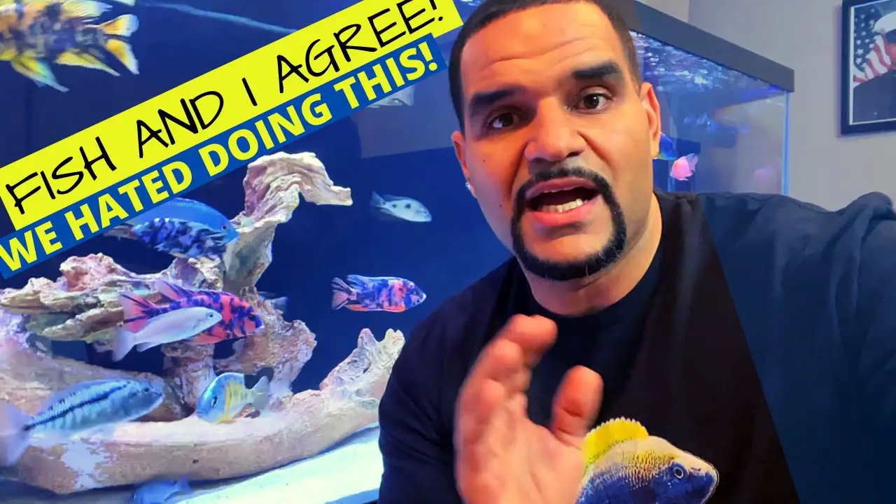 Replace Aquarium Substrate - (Hope you never have to do it) YouTube video thumbnail