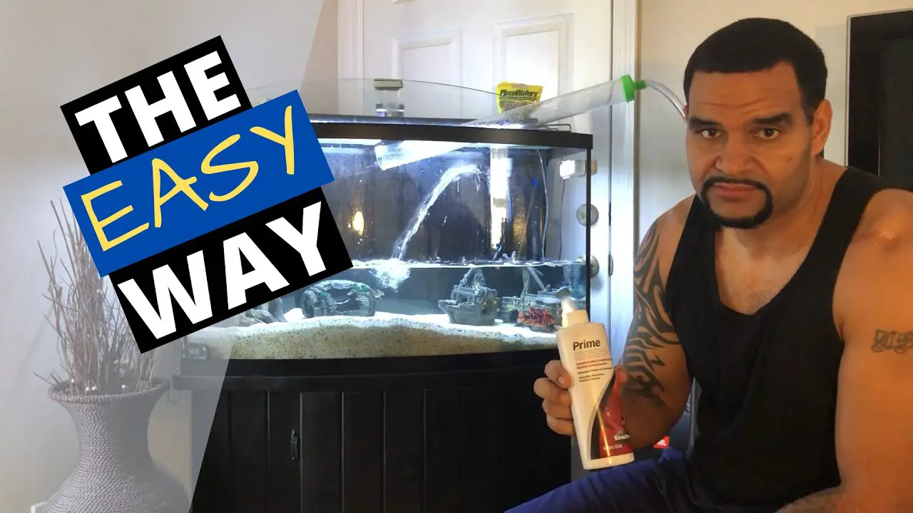 How to Do a Water Change in # Steps (Fast & Easy) YouTube Thumbnail