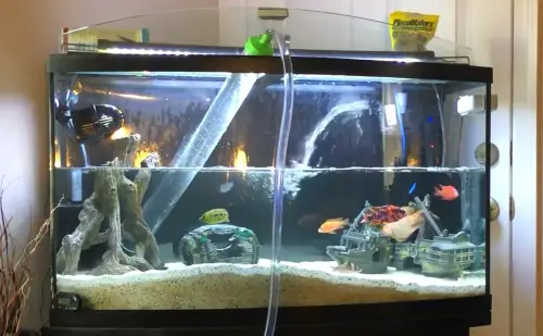 Water Change: Removing the old aquarium water through the Aquarium Python 