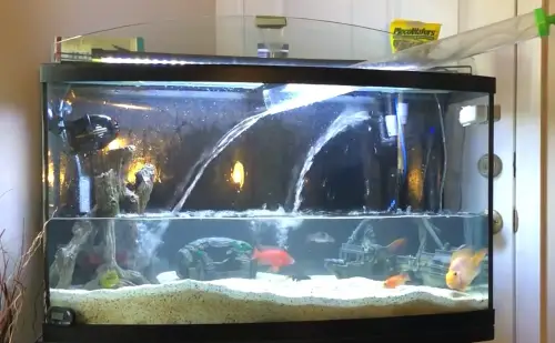 Water Change: Refilling the new aquarium water through the Aquarium Python 