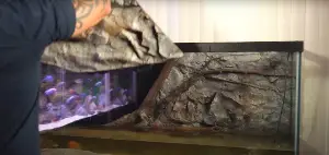 How to Install a 3D Aquarium Background - KaveMan Aquatics adding their 3D aquarium background from Aquadecor to their American cichlid tank 