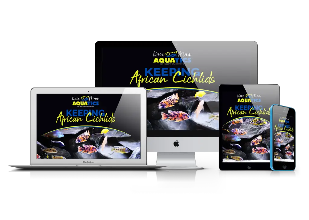 Keeping African Cichlids online video course