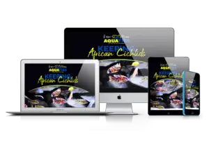 Keeping African Cichlids online video course