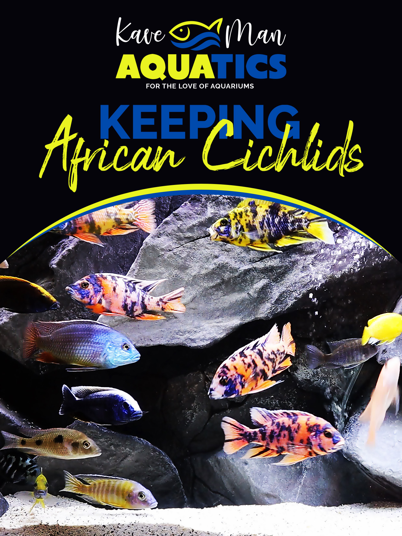 Keeping African Cichlids Book