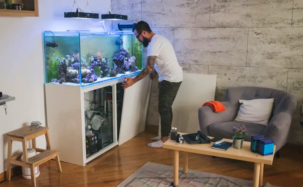 4 Fish Tank Stand Options: Man opening his white fish tank stand in his house to access the aquarium equipment