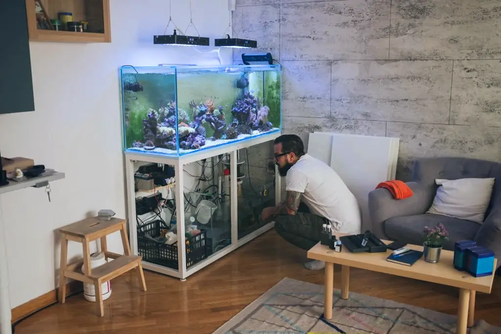 4 Fish Tank Stand Options: Man crouching in front of his opened, white fish tank stand in his house to access the aquarium equipment 