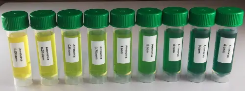 API Freshwater Master Test Kit: The various color results for ammonia tests 