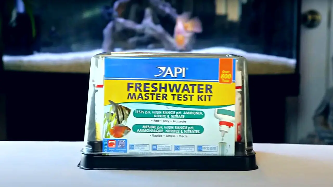 Step-By-Step Guide How To Use an API Freshwater Master Test Kit (+Solutions) Youtube thumbnail