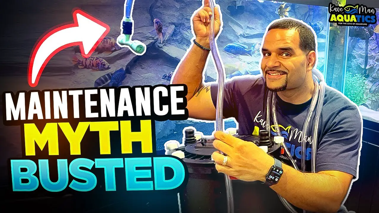 Water Change + Clean Filter = Killed Beneficial Bacteria? (Maintenance Myth Busted) YouTube thumbnail
