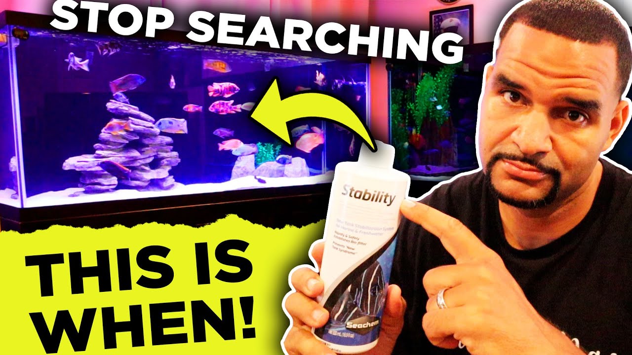 Water Change + Clean Filter = Killed Beneficial Bacteria?