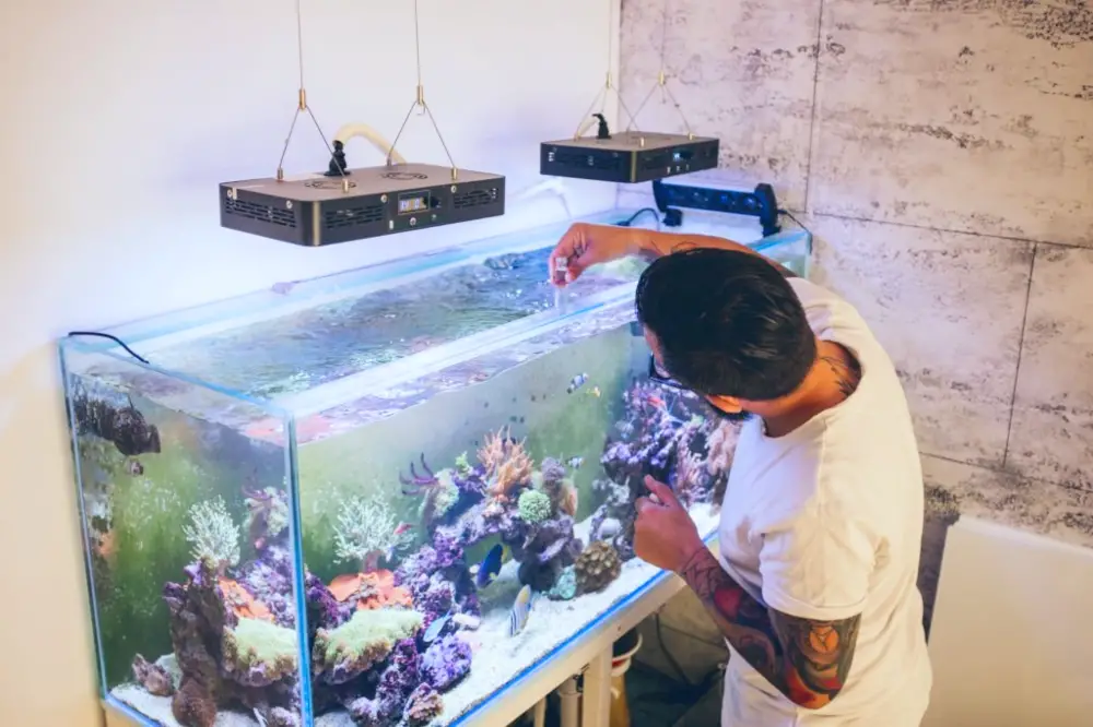 Aquarium Checklist — A man monitoring his aquarium. 