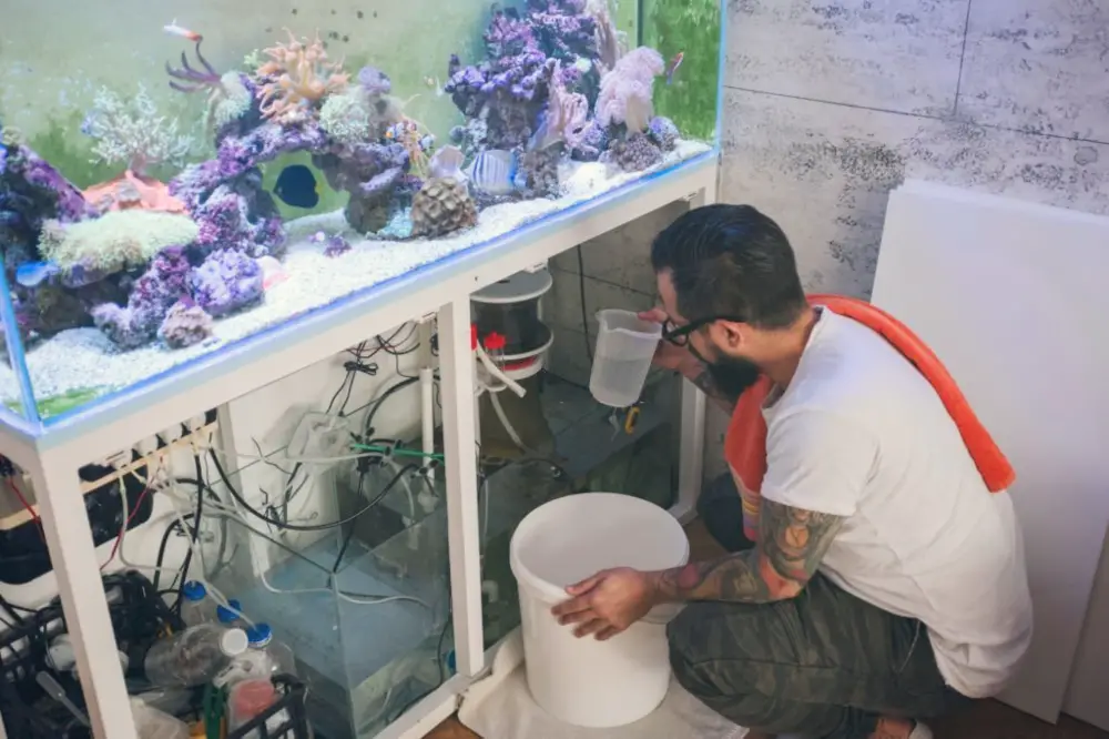 Aquarium Checklist — A man monitoring his aquarium maintenance items. 