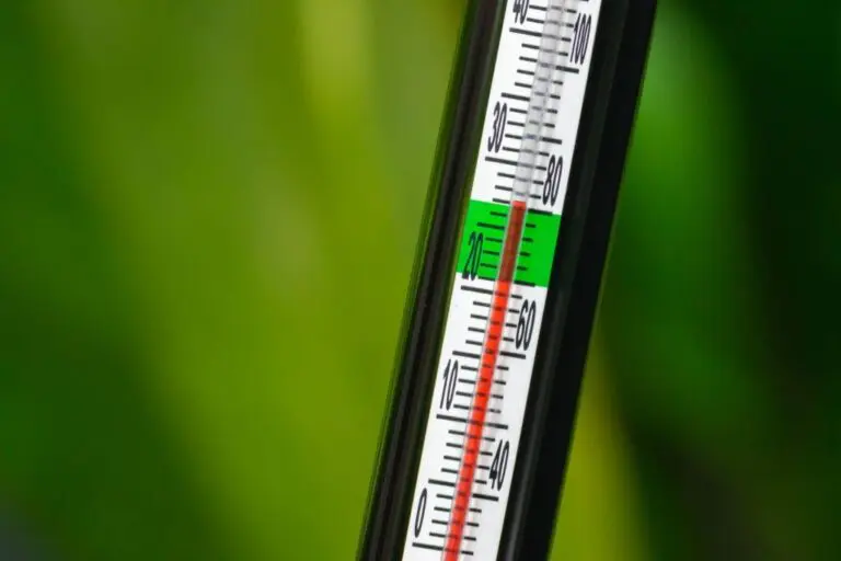 Aquarium Thermometers - Close-up image of an aquarium thermometer with a green background
