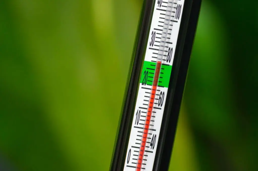Aquarium Thermometers - Close-up image of an aquarium thermometer with a green background