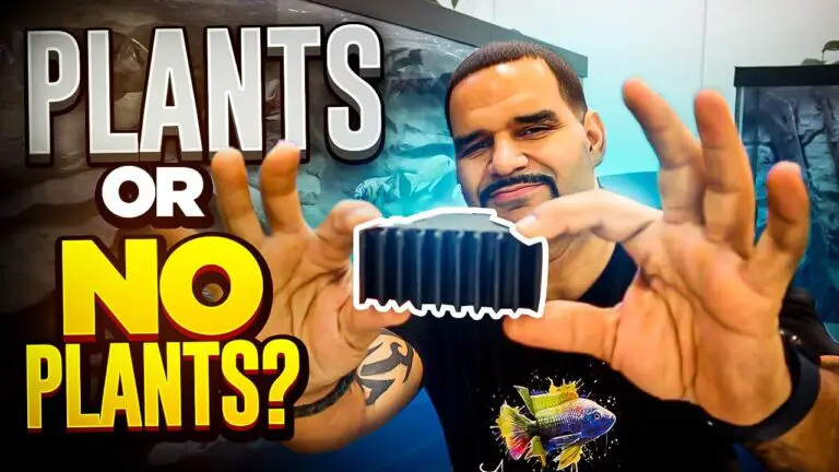 KaveMan Aquatics — Add Plants Over The Top of Your Tank Like This! (Poth-O-Carry) — YouTube video
