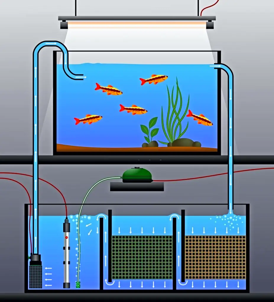 How an Aquarium Sump Works: A schematic diagram of an aquarium with external sump filtration. Vector illustration of an aquarium filter 