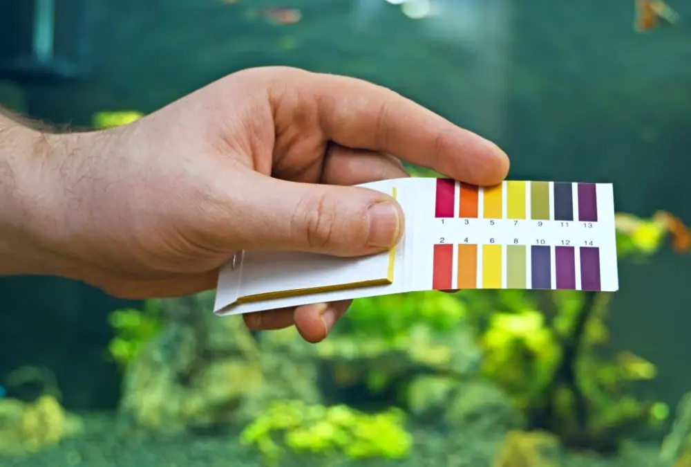 High pH Aquariums: Male hand holding PH tests in front of a freshwater aquarium