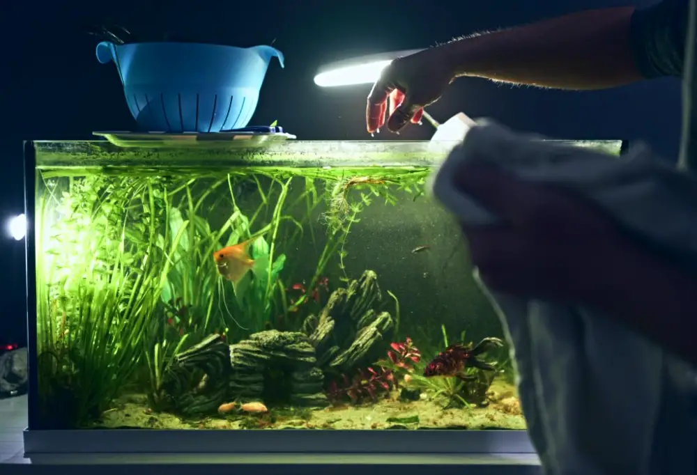 Aquarium Lighting 101 — Detail of man's hand coming out of the aquarium during his cleaning 