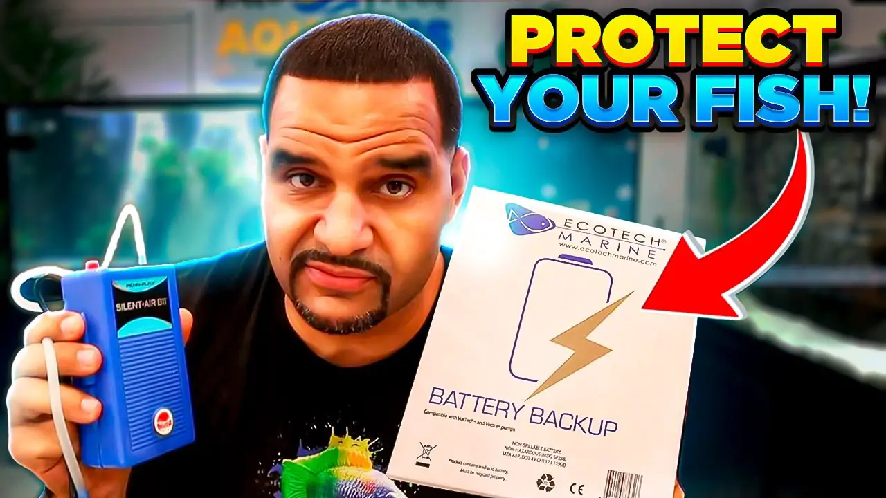 Keep Your Aquarium Thriving During Power Outages — KaveMan Aquatics thumbnail for YouTube video called Be Prepared For This Inevitable Disaster! (Install Now or Cry Later)