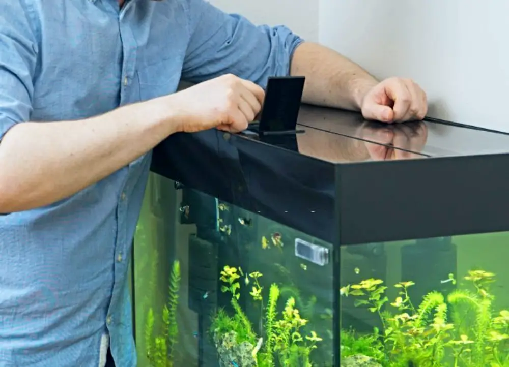 4 Types of Aquarium Covers: How to Choose the Right Lid for Your Tank