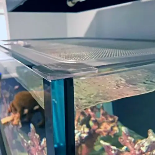 Types of Aquarium Covers — Side zoomed-in view of an aquarium with an acrylic cover 