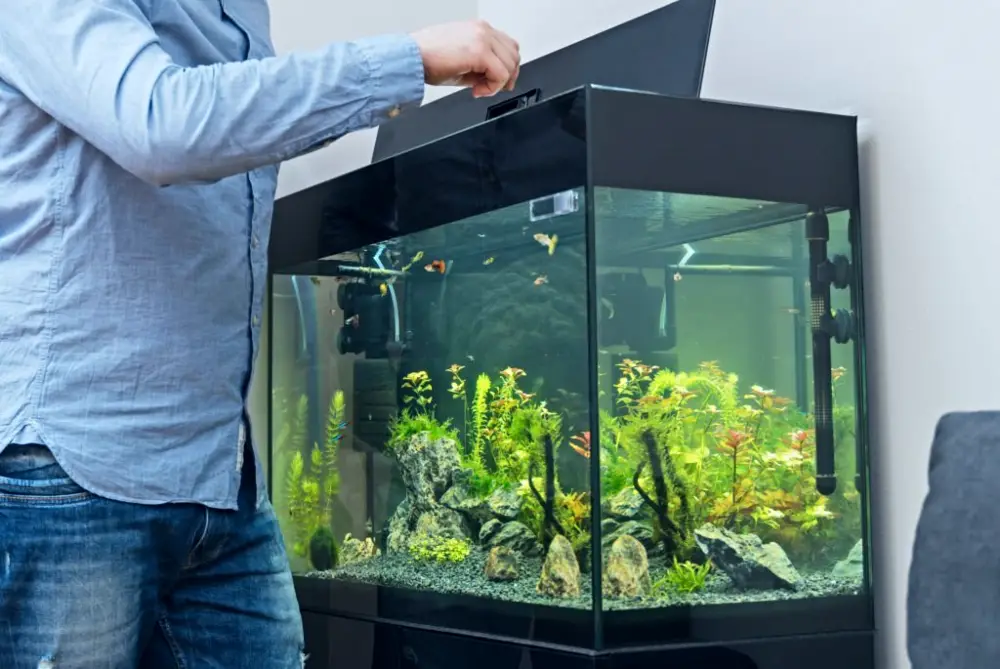 Types of Aquarium Covers — Man opening an aquarium cover and feeding his fish