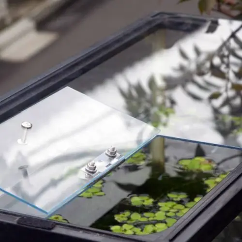 Types of Aquarium Covers — Top view of a DIY aquarium cover made of glass and a small opening 