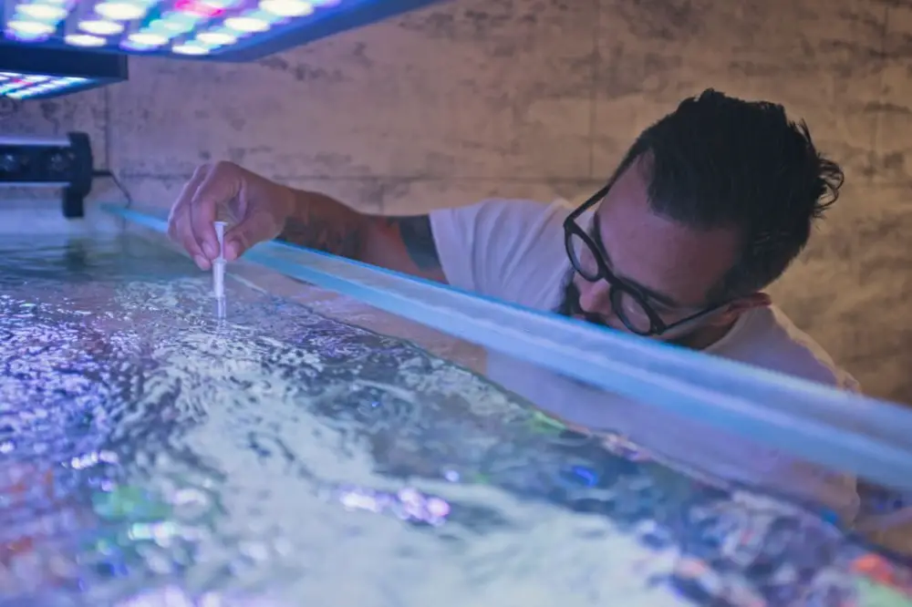 Lower Phosphate Levels in Your Aquarium — A bearded man testing the quality of water in his tank.