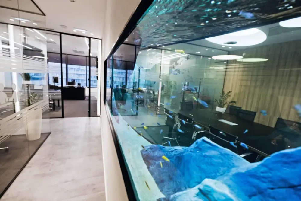 Choosing the Right Aquarium Size — Angled view of a large aquarium setup in an office 
