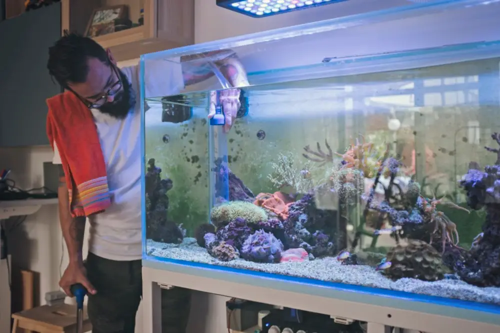 Lower Phosphate Levels in Your Aquarium — A bearded man vacuuming his tank.