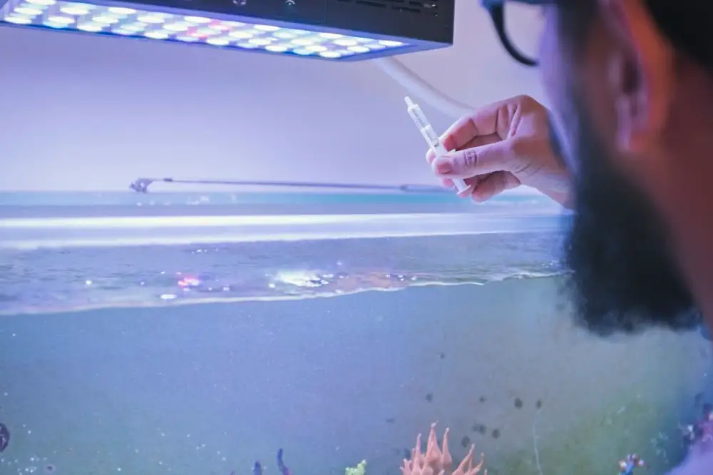 Lower Phosphate Levels in Your Aquarium — A bearded man testing quality of water in his tank. 