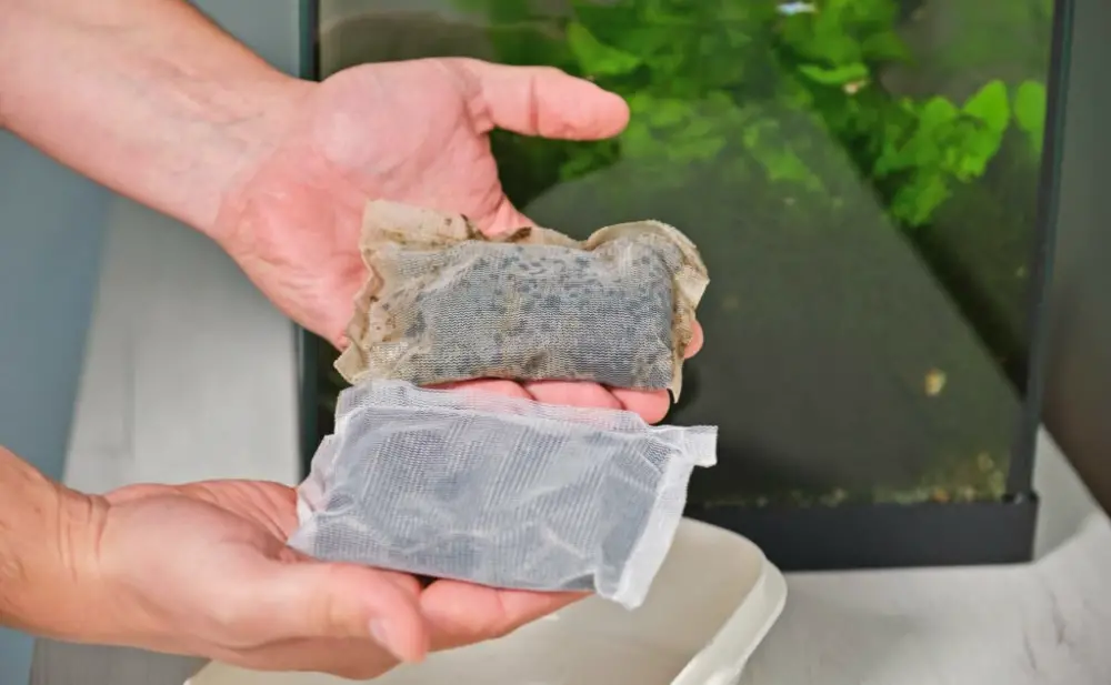 Dos and Don'ts of Fish Tank Maintenance — Close up of hands comparing old and new activated carbon material of a fish tank filter. Aquarium maintenance.