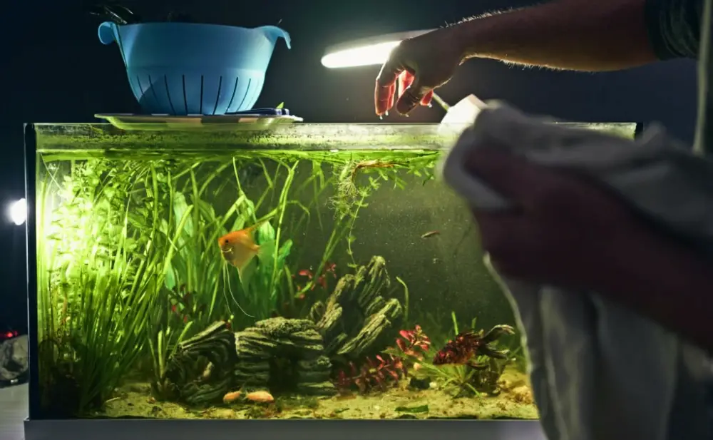 Fish Tank Maintenance — Detail of man's hand coming out of the aquarium during his cleaning. Household chores concept. 