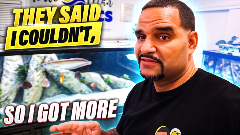 10 Best Discus Fish Tank Mates (With Pictures) KaveMan Aquatics