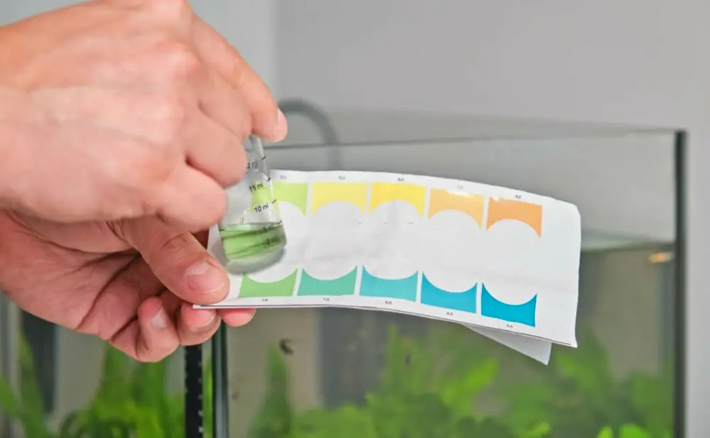 Aquarium Bacterial Blooms — Hands holding neutral pH test in front of a freshwater aquarium. Fish tank maintenance.