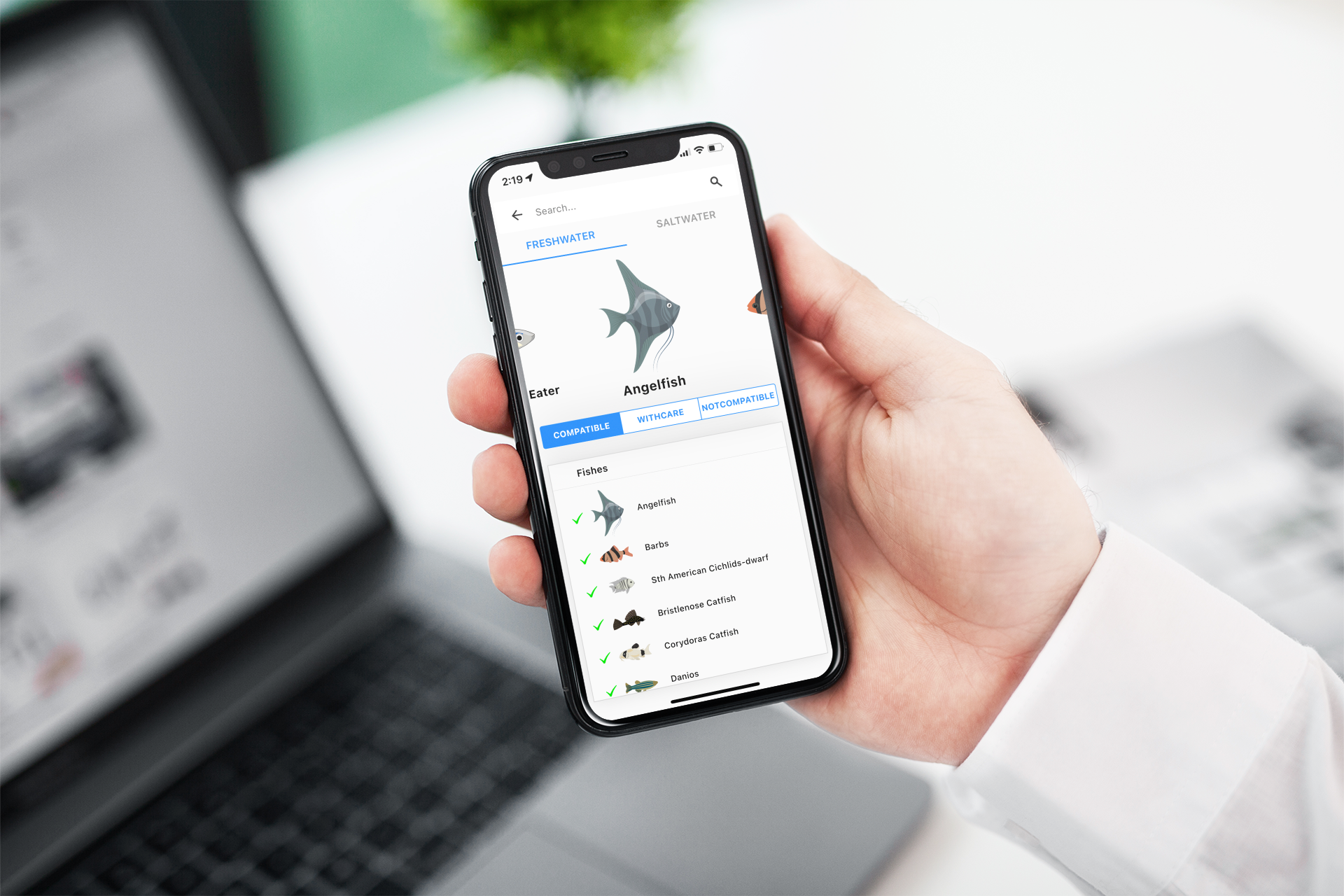 7 Best African Cichlid Tank Mates (With Pictures) KaveMan Aquatics