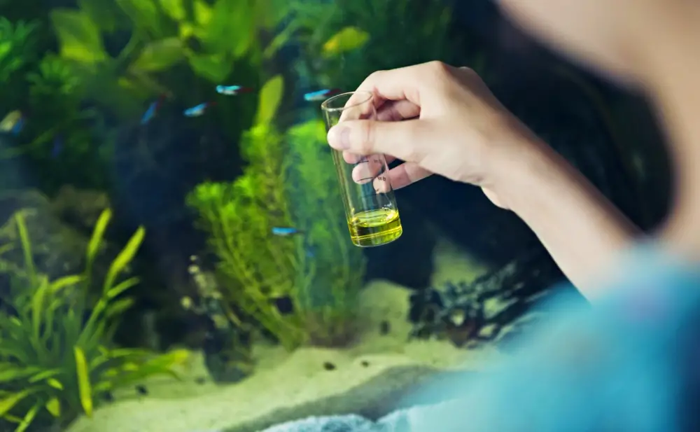 Causes of Low pH in Aquariums — Person holding a test tube in front of an aquarium