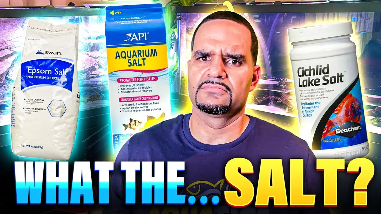 Salt in Freshwater Aquariums — What the Salt KaveMan YouTube thumbnail