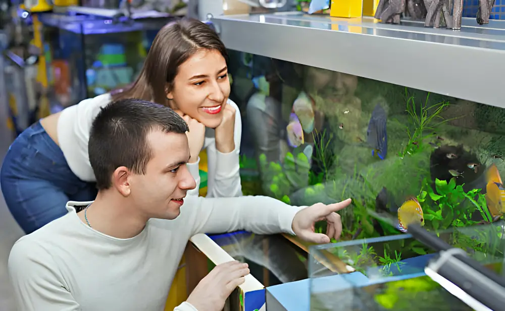 Budget-Friendly Fishkeeping — Happy couple in a pet shop looking for budget-friendly fish
